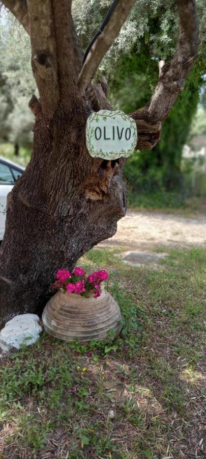 Olivo Nydri Apartment Ngoại thất bức ảnh